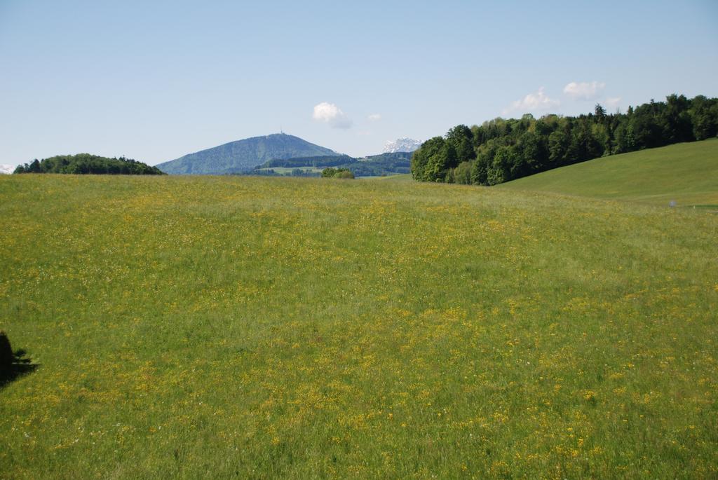 Landhaus Brieger Henndorf am Wallersee Esterno foto